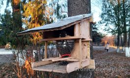 Hrănitori pentru păsări au fost amplasate în Parcul Prefecturii din Fălticeni