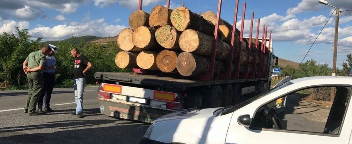 Peste 3.000 de metri cubi de material lemnos confiscați în urma unor controale care au vizat ilegalitățile din domeniul silvic în județul Suceava
