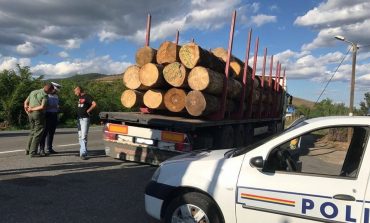 Peste 3.000 de metri cubi de material lemnos confiscați în urma unor controale care au vizat ilegalitățile din domeniul silvic în județul Suceava