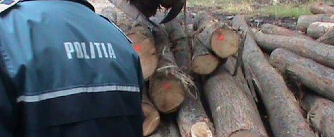 Un nou control în comuna Mălini. Polițiștii au confiscat material lemnos în valoare de peste 30.000 de lei