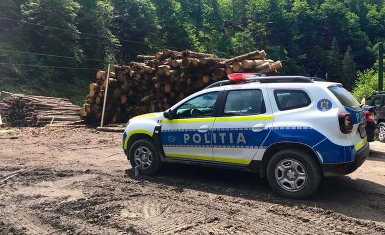 Controale la două gatere din comuna Râșca. Amenzi în valoare de 16.000 lei și circa 50 m.c. de lemn confiscat