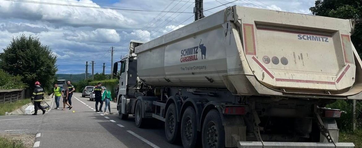 Accident rutier produs în comuna Forăști. Un autocamion s-a ciocnit cu un atelaj hipo. Căruțașul era băut