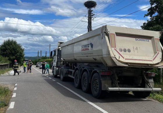 Accident rutier produs în comuna Forăști. Un autocamion s-a ciocnit cu un atelaj hipo. Căruțașul era băut